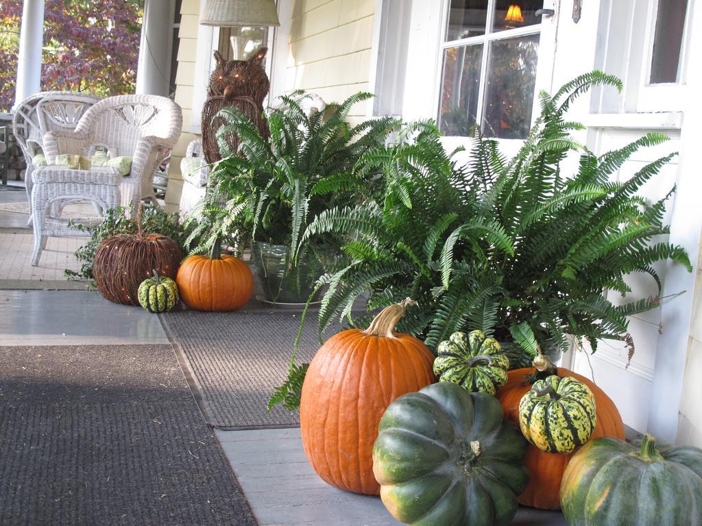 Hilltop House Bed & Breakfast Amenia Extérieur photo